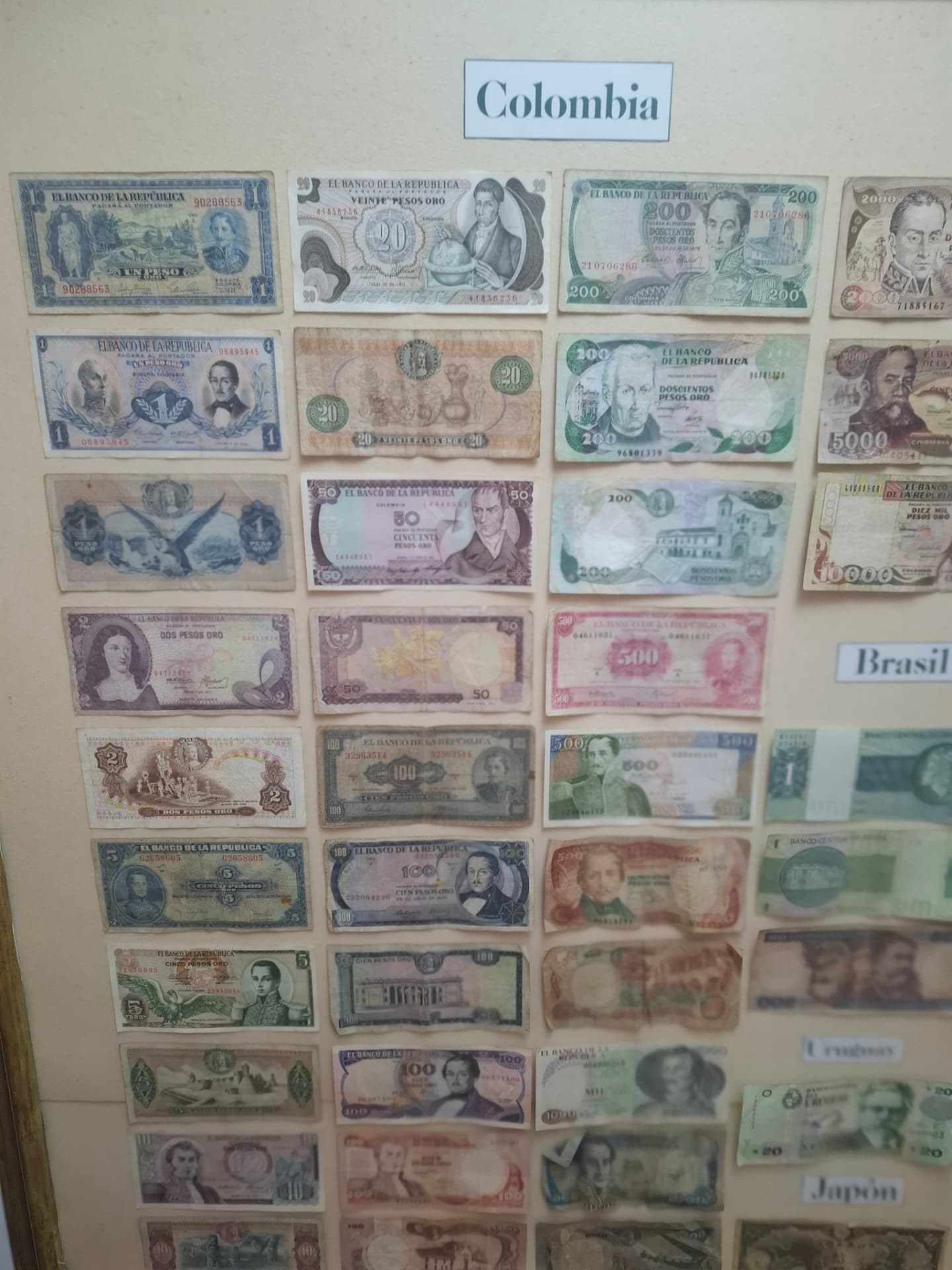 Coleção de cédulas colombianas em exposição
