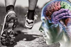 exercicio e cerebro
